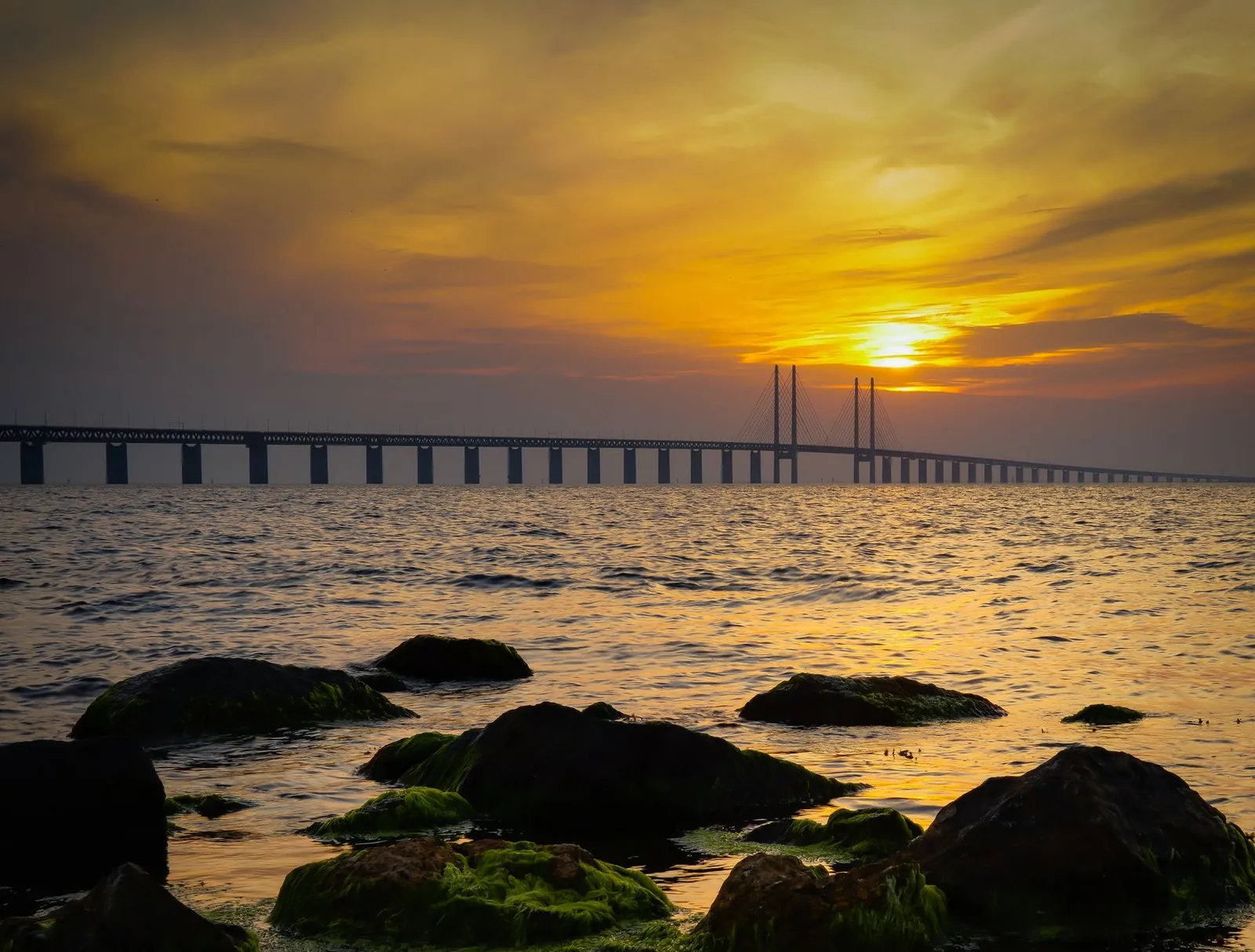 Öresundsbron sedd från kusten vid Malmö i solnedgång